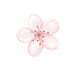 粉色系花朵彩绘图