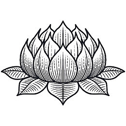 黑色手绘莲花