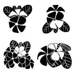手绘绣球花