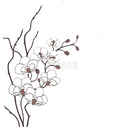 手绘白色梅花