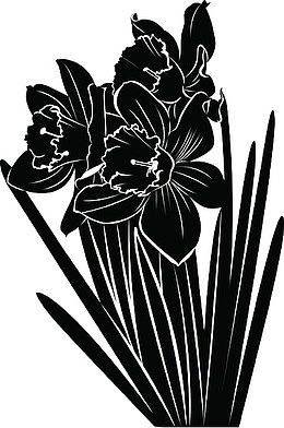 黑色水仙花手绘剪影