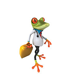 拖着行李箱的青蛙先生