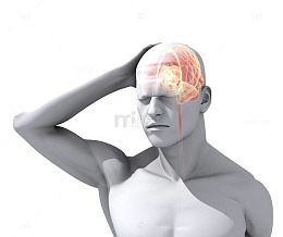 3D人体架构