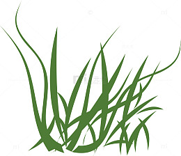 图案小草被风吹的小草