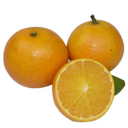 贡柑皇帝柑手剥橙