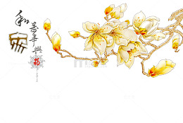 中国风花装饰背景墙