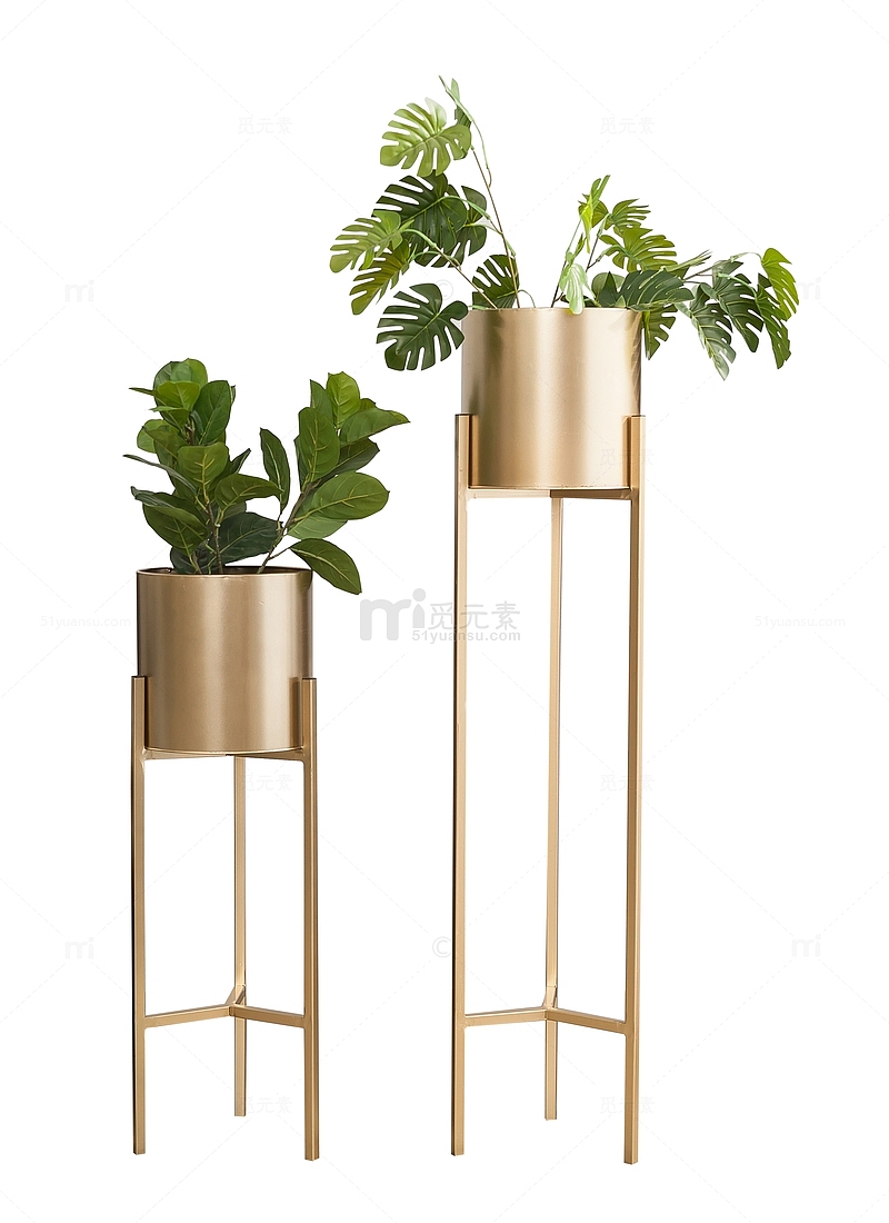 金属花瓶植物