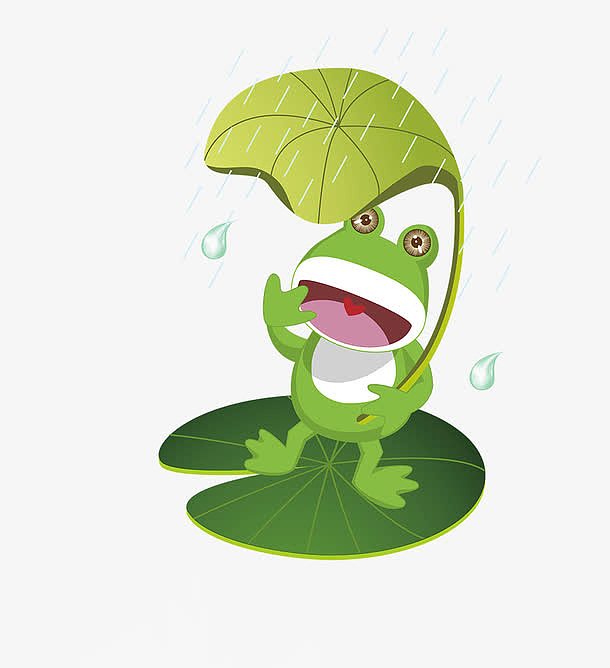 2018年惊蛰之雨季的青蛙