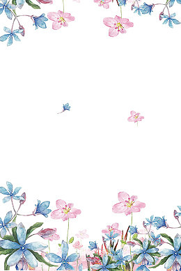 免抠春季花朵花瓣装饰背景