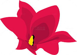 花纹背景花纹底纹
