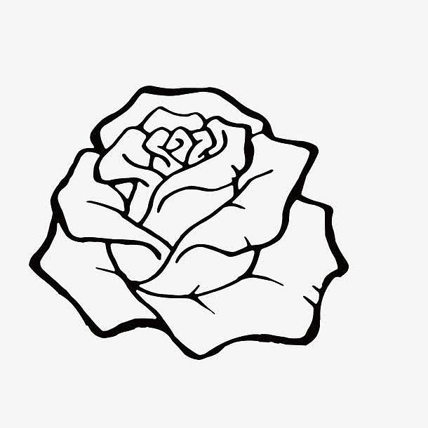 手绘花卉装饰复古玫瑰花