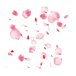 粉色飘落樱花花瓣素材