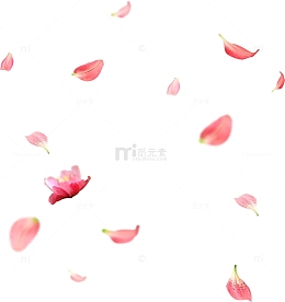 免扣桃花桃花飘