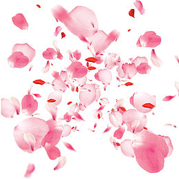 免扣粉色桃花飘