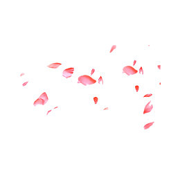 散落唯美粉色花瓣素材