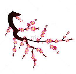 梅花简笔画设计透明png