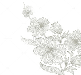 线描植物叶子纹理背景