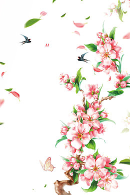 创意春季花瓣装饰背景免抠