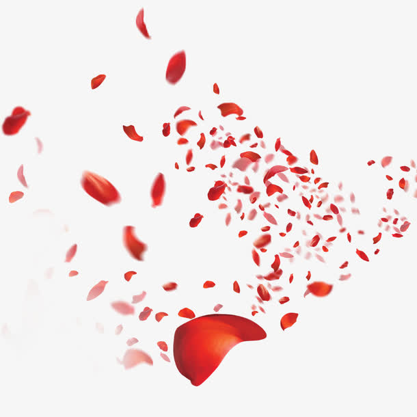 玫瑰花瓣免抠素材免费下载_觅元素51yuansu.com