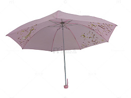 雨伞