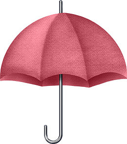 雨伞