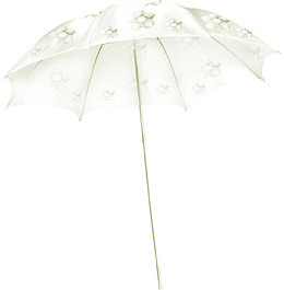 白色雨伞