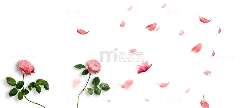 38妇女节玫瑰花背景装饰