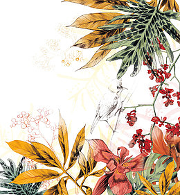 彩绘花的图案
