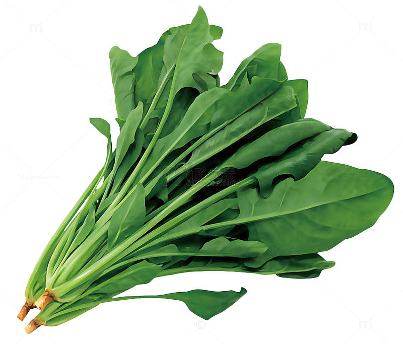 一把菠菜
