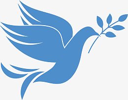 png蓝色手绘和平白鸽pngpng羽毛pngpng卡通衔橄榄枝的白鸽矢量图png