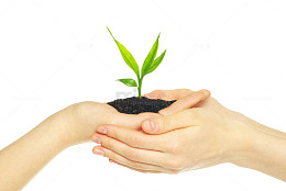 PNG手掌守护禾苗