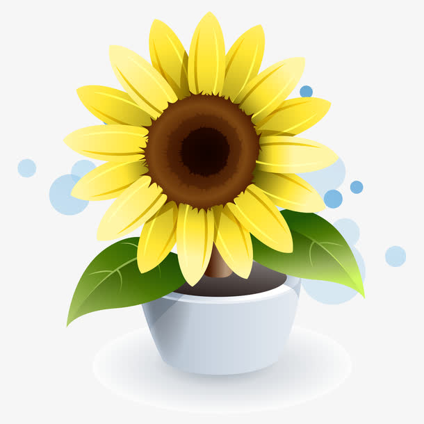 卡通手绘向日葵png