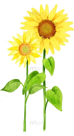 手绘向日葵