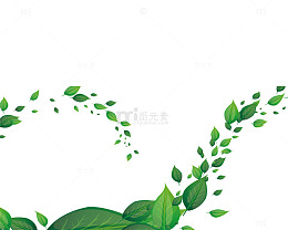 风吹叶子绿叶