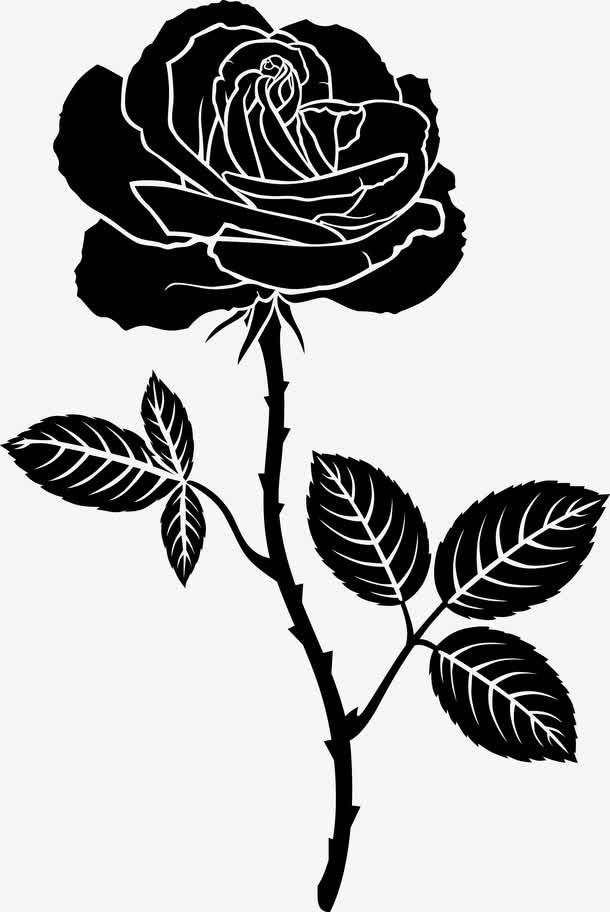 玫瑰花矢量图素材免费下载_觅元素