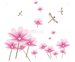 花丛中的蜻蜓