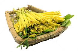 卡通手绘黄色的花花菜