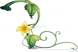 黄色的黄瓜花