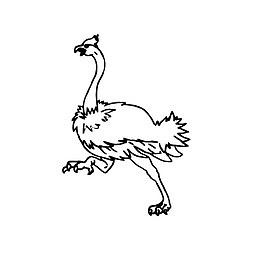 简笔画鸵鸟