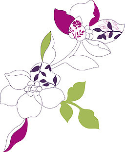 元旦红花暗红花瓣