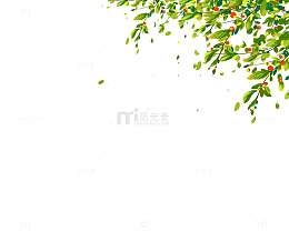 风吹树叶绿叶