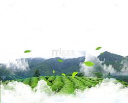 创意实景风吹绿叶