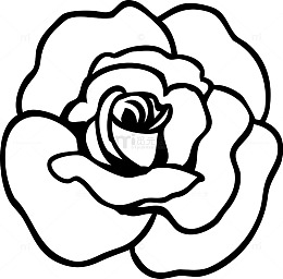 玫瑰花手绘图