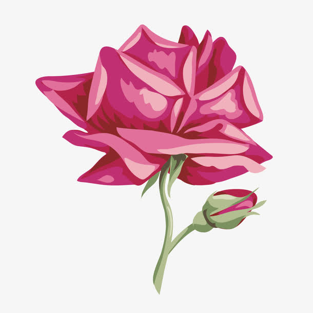 关键词 : 卡通,手绘,梦幻,红色,png彩绘花,粉色,玫瑰花,矢量,免抠图