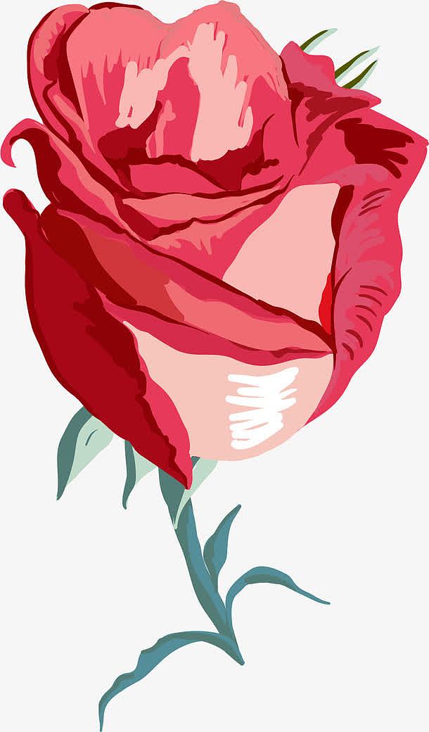 一朵玫瑰花图案