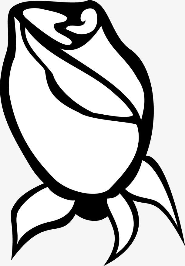 手绘玫瑰花花骨朵矢量图