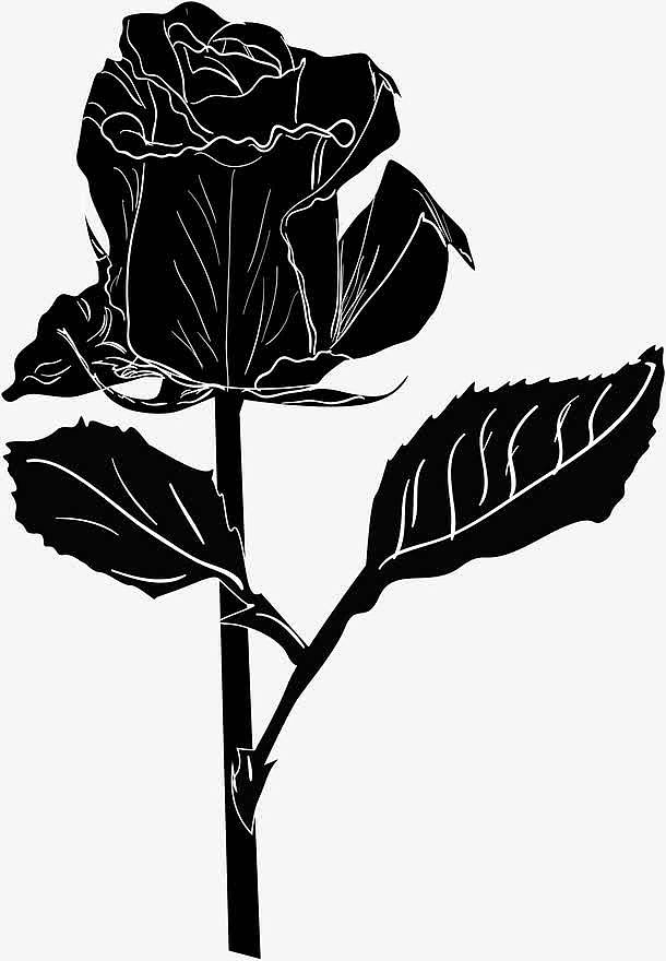 手绘带刺的玫瑰花