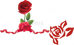 玫瑰花高清