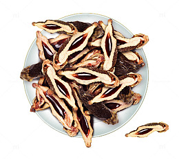 槟榔设计装饰素材