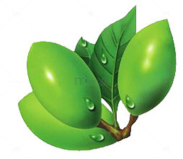 槟榔